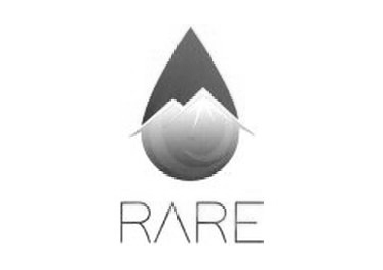 Enterprise_Logos_Rare