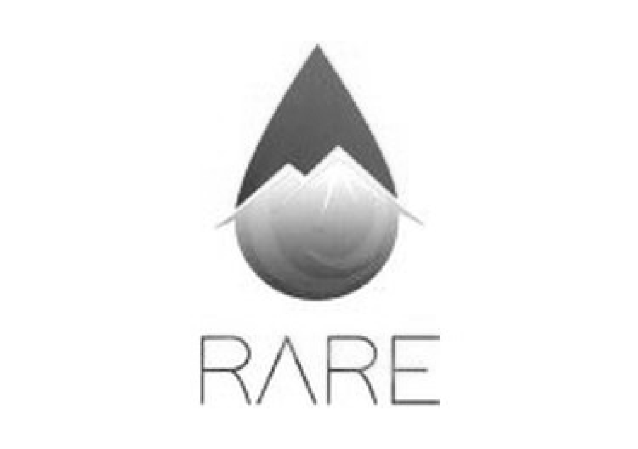 Enterprise_Logos_Rare